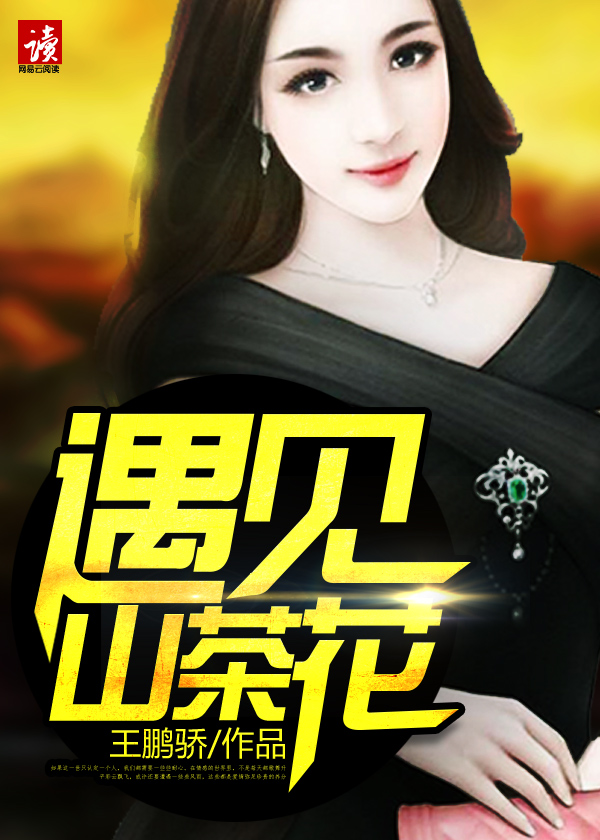 遇见山茶花封面