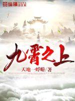 九霄之上封面