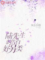 陆先生的告白好另类封面