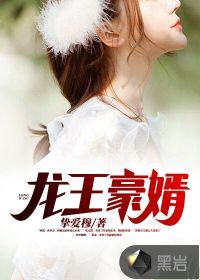 龙王豪婿封面