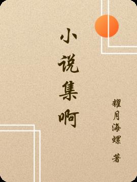 小说集啊封面