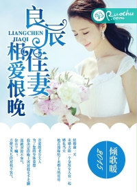 良辰佳妻，相爱恨晚封面