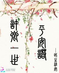 许卿一世平安诺封面