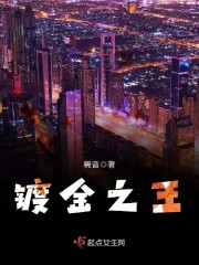 镀金之王封面