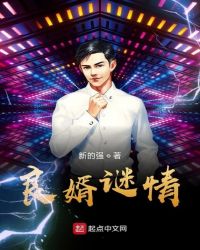 良婿谜情封面