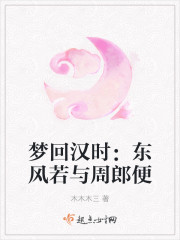 梦回汉时：东风若与周郎便封面