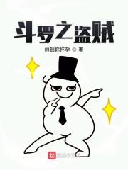 斗罗之盗贼封面