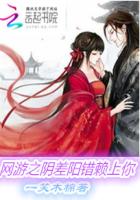 网游之阴差阳错赖上你封面