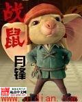 战鼠封面
