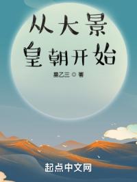 从大景皇朝开始封面