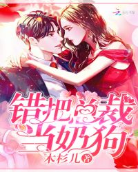 错把总裁当奶狗封面
