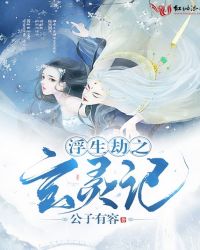 浮生劫之玄灵记封面