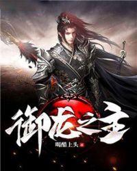 御龙之主封面