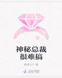 神秘总裁很难搞封面