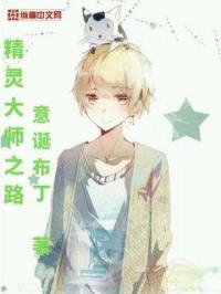 精灵大师之路封面