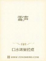 雪声封面