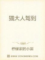 猫大人驾到封面