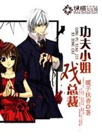 功夫小姐戏总裁封面