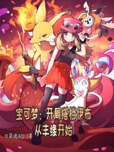 寶可夢：開局搭檔伊布從豐緣開始封面