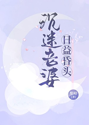 沉迷老婆，日益昏头封面
