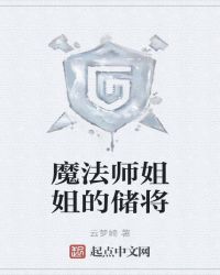 魔法师姐姐的储将封面