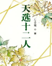 天选十二人封面