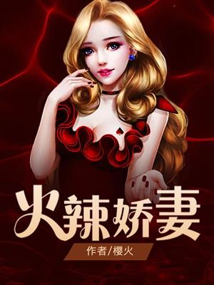 火辣娇妻封面
