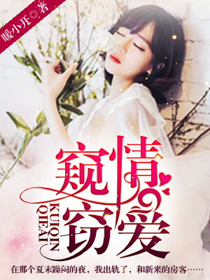 窥情窃爱封面