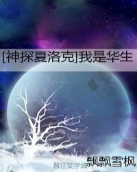 [神探夏洛克]我是华生封面