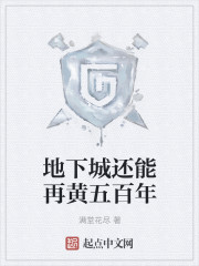 关于地下城的回忆封面