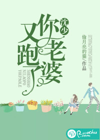 沈少,你老婆又跑了封面