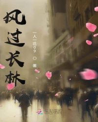 风过长林封面