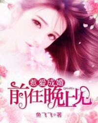 惹爱成婚：前任，晚上见封面