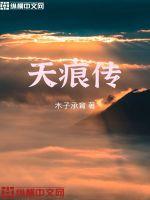 天痕传封面