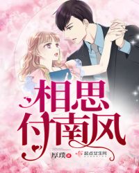 相思付南风封面