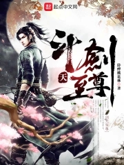 斗剑天至尊封面