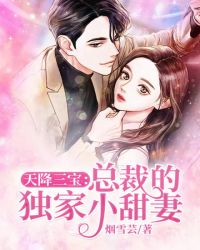 天降三宝：总裁的独家小甜妻封面
