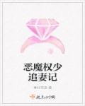 恶魔权少追妻记封面