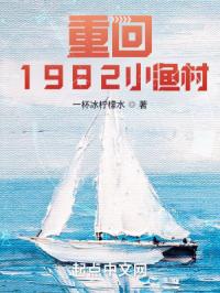 重回1982小渔村封面