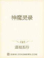 神魔灵录封面