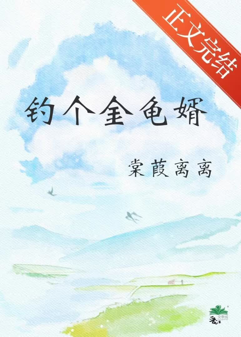 钓个金龟婿封面