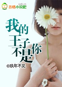 我的王子不是你封面