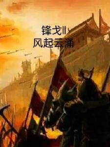 锋戈之风起云涌封面