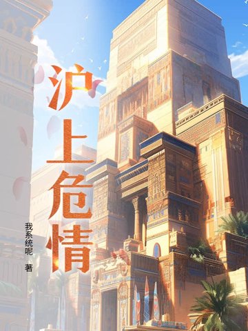 沪上危情封面