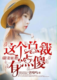 甜妻密袭，这个总裁有点傻封面