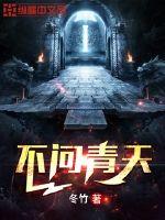 不问青天封面