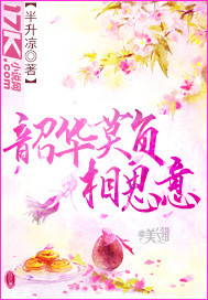 韶华莫负相思意封面