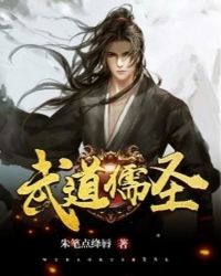 武道儒圣封面