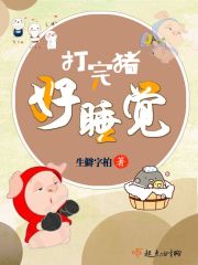 打完猪好睡觉封面