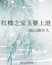 红楼之宝玉要上进封面